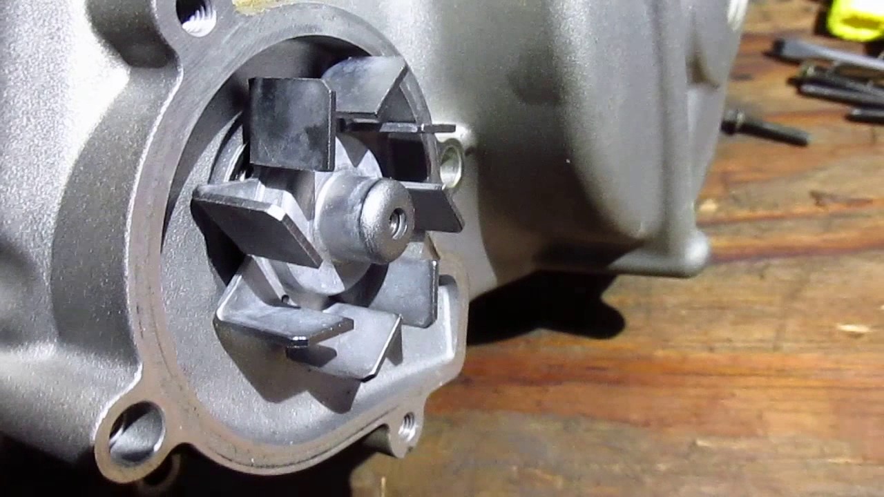 Wildcat Sport/Trail Water Pump Tear Down