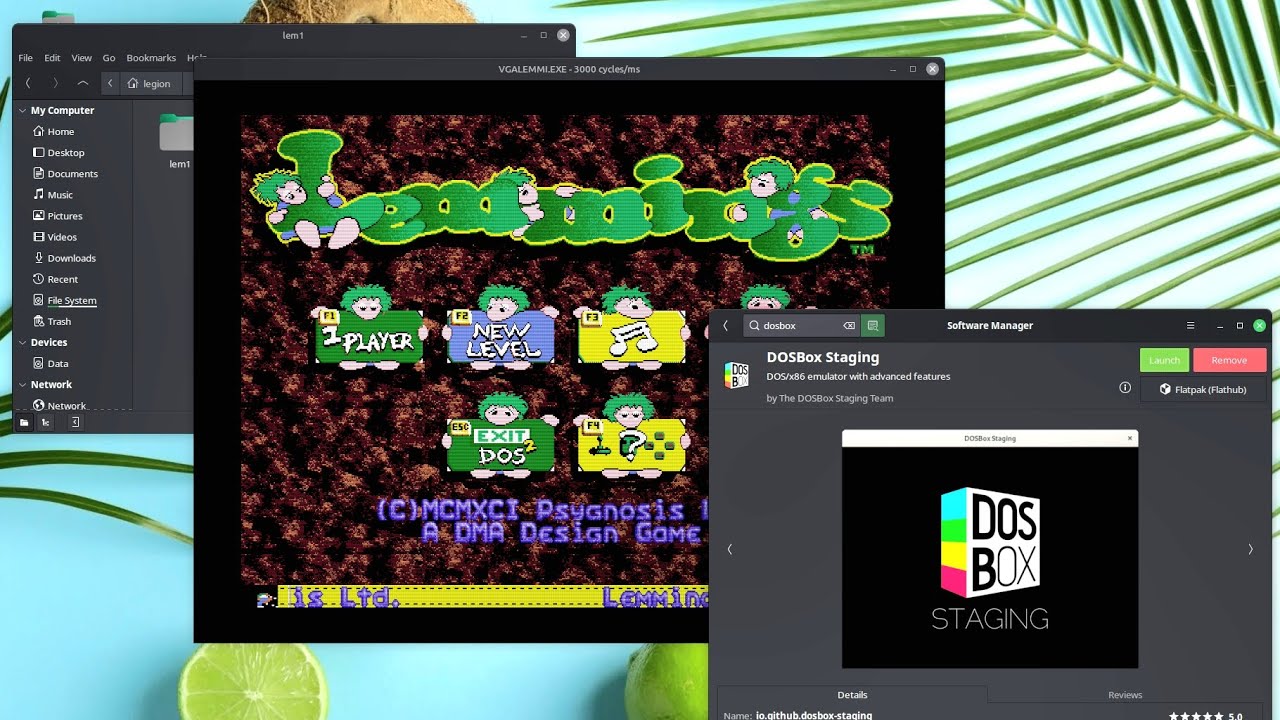 Install and use DOSBox in Linux Mint the easy way