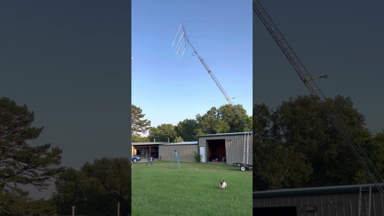 5 Element Gizmotchy beam antenna