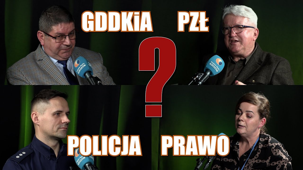 Kolizja z dziki zwierzęciem. Co zrobić? Kto odpowiada za szkody?