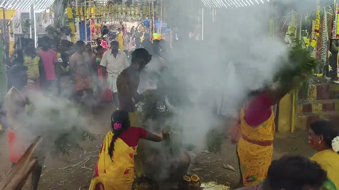 2026 ஆம் ஆண்டு தை மாத இரண்டாம் சனி கோவில் கொடை விழா.... மஞ்சள் நீராடுதல்