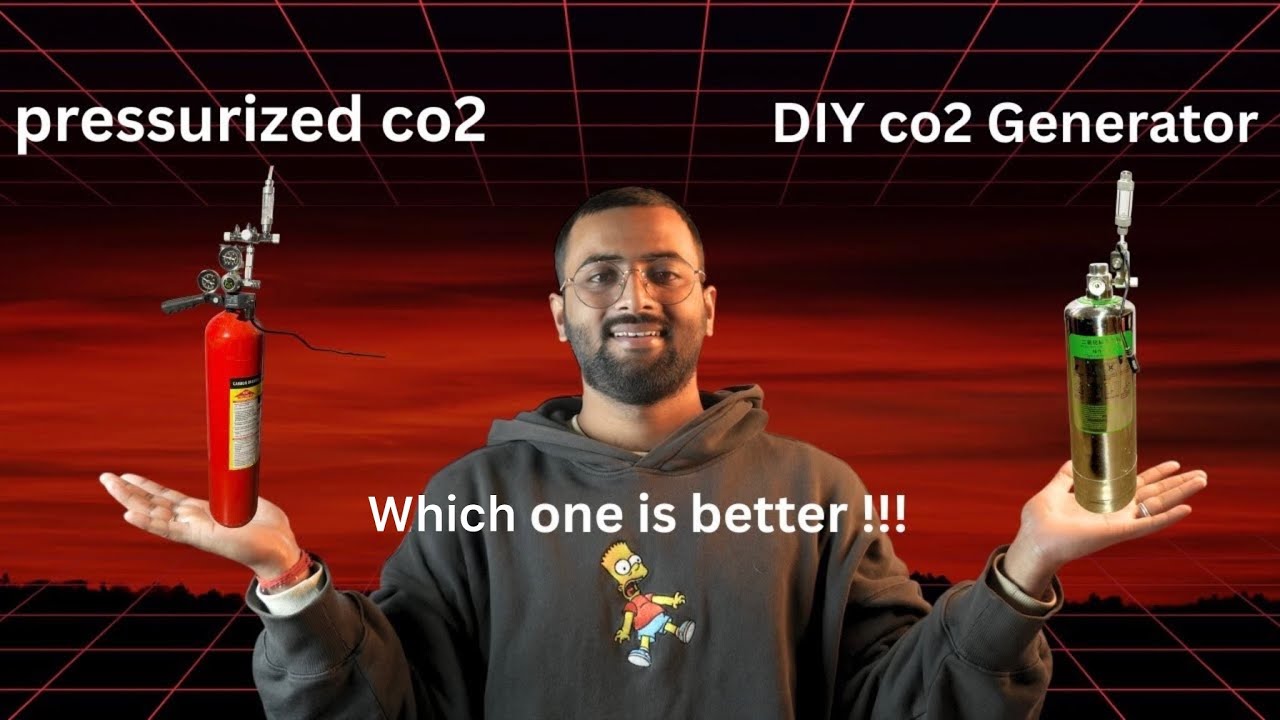 Pressurized CO2 vs DIY CO2 Generator | Which is BEST for Planted Aquariums?