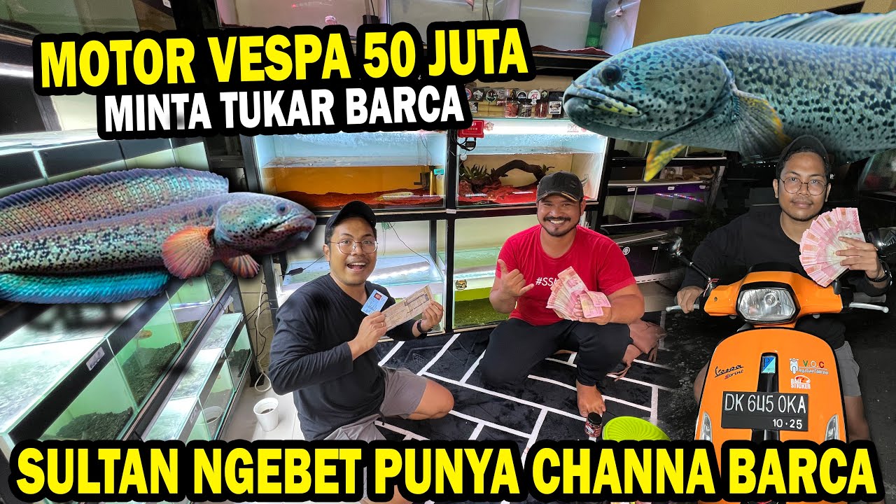 VESPA 50 JUTA!! TUKAR CHANNA BARCA DENGAN VESPA