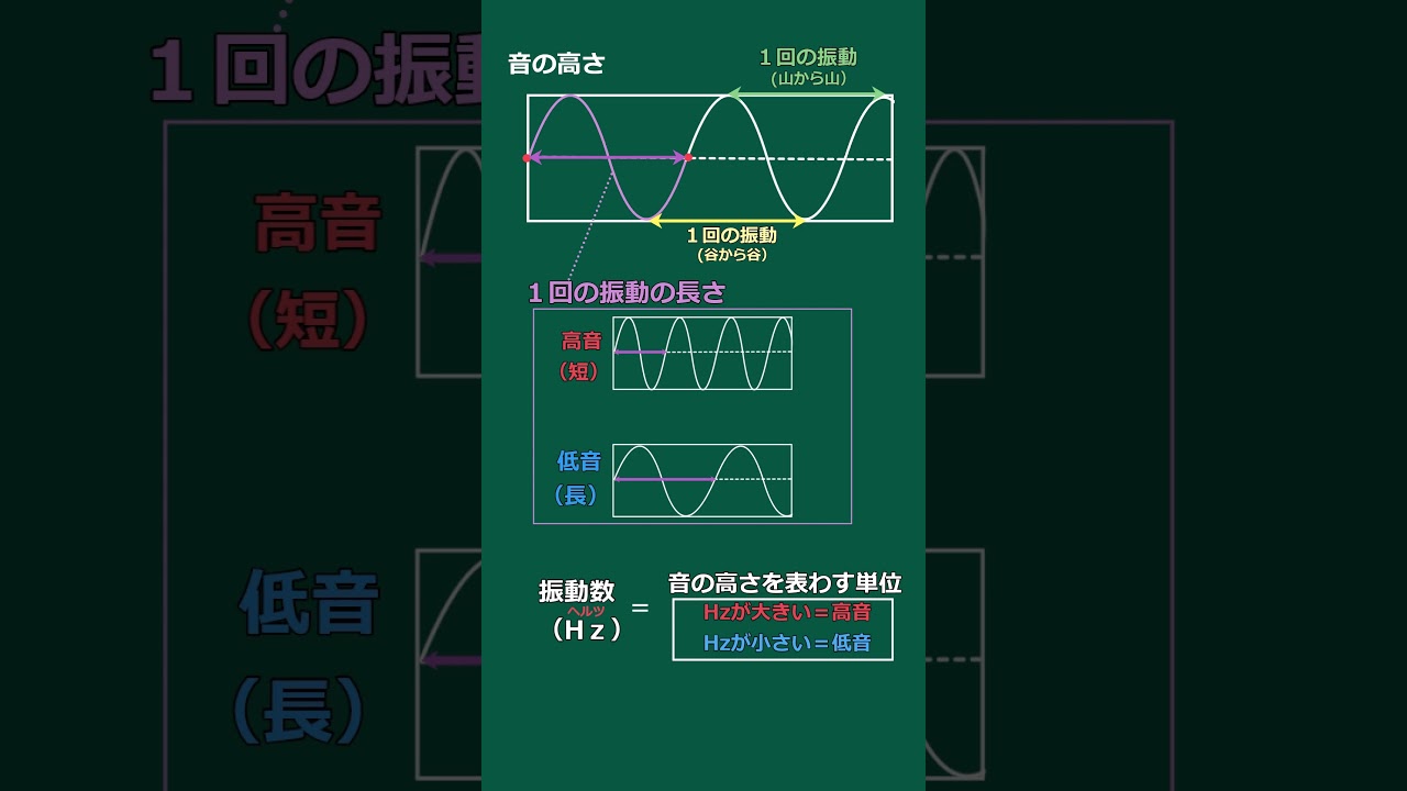 ゆっくり解説中学理科「音の高さと大きさ② 波形と振動数」 #振幅 #振動 #高音 #低音 #振動数 #Hz【