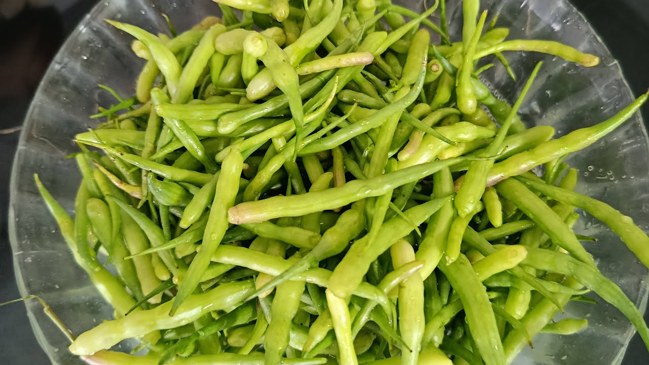 বন্ধুরা এগুলো কি কেউ চিনো??