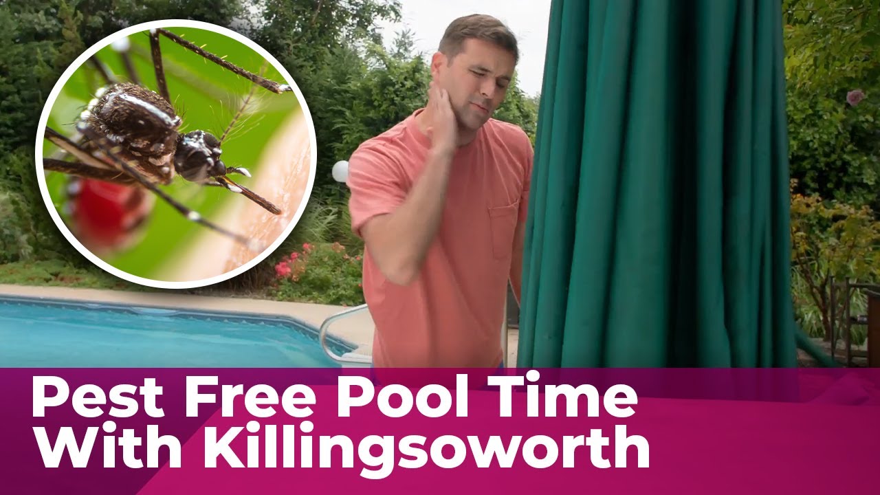Are You Protecting Your Home and Family From Pests?