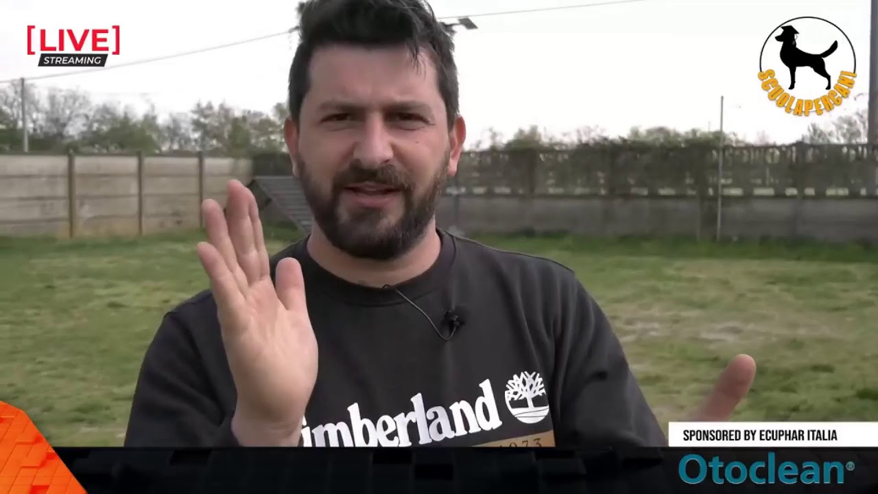 BILLY E LE MANIPOLAZIONI