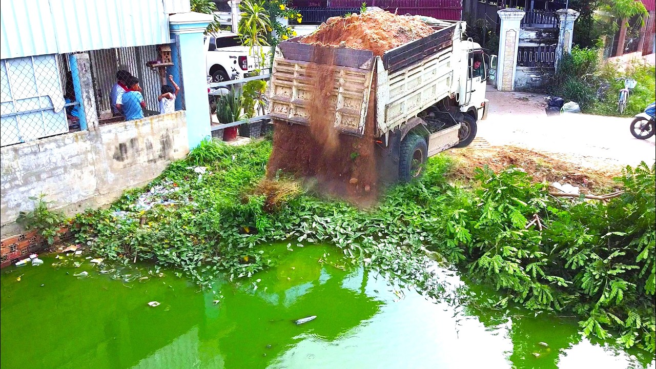 First Start Amazing PROJECT!! LANDFILL Clearing Tree & Delete Deep Pond By Strong Dozer & 5Ton Truck