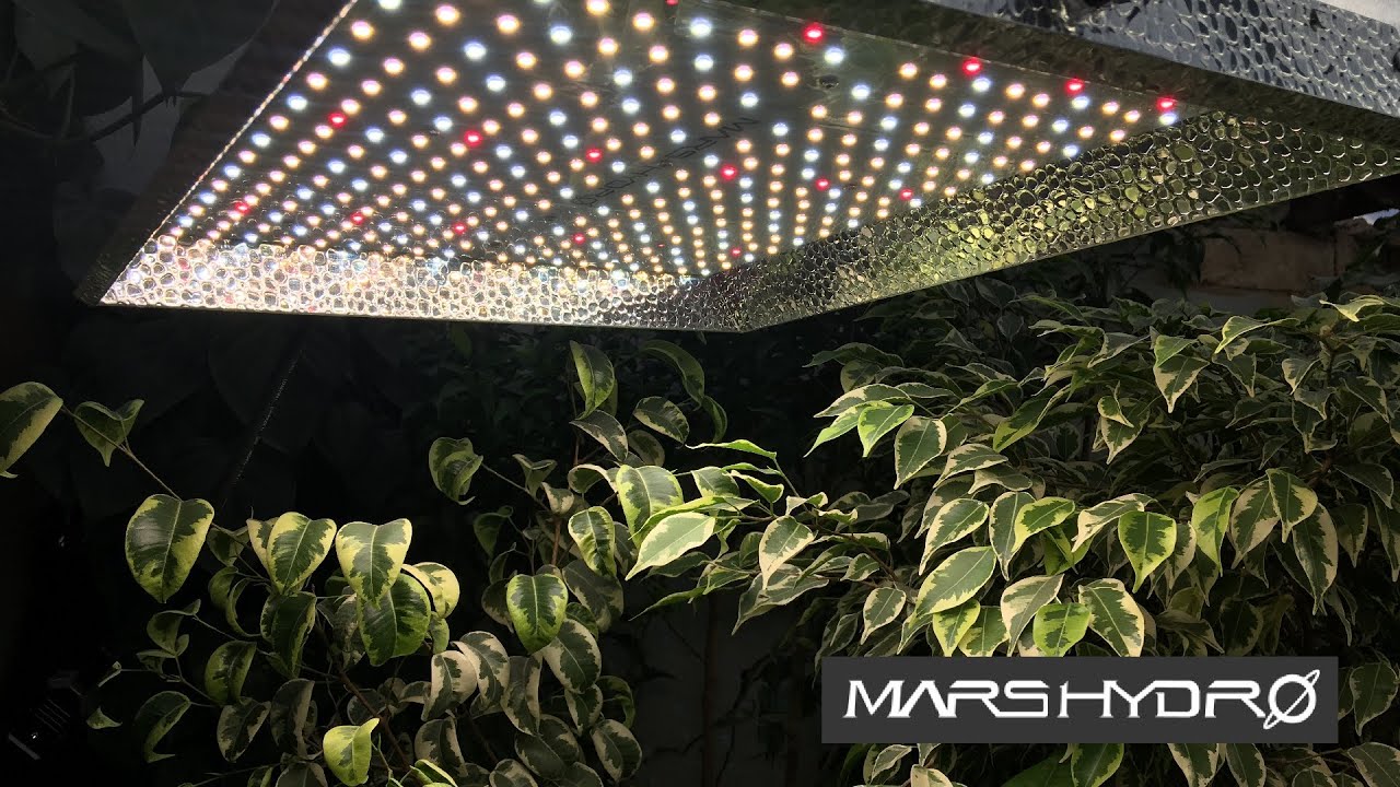 Как выбрать ФИТОЛАМПУ 💡 Обзор на лампу МАРС ГИДРО ЛЕД