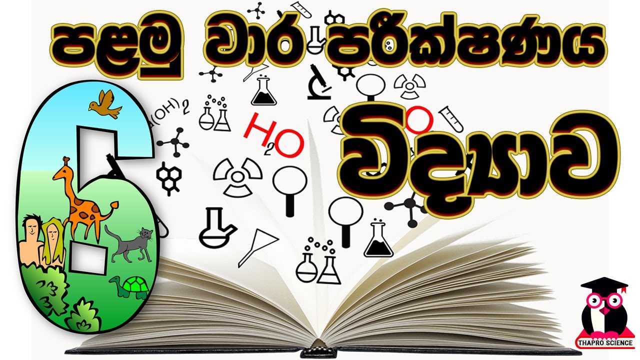 6 ශ්‍රේණිය විද්‍යාව | පළමු  වාර ප්‍රශ්න පත්‍රය | Grade 6  science | first term paper