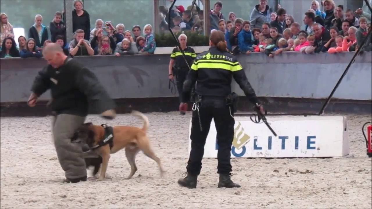 OpenDag Bereden Politie Boxtel