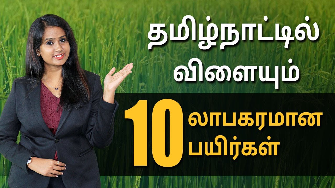 Top 10 Profitable Crops Details in Tamilnadu | Most Profitable Agriculture Farming | Bala Saraswathi