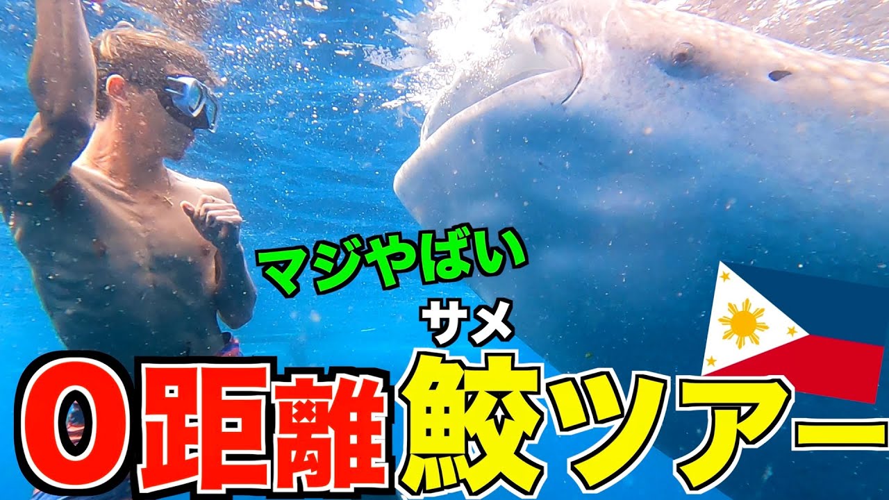 【フィリピン】サメと泳げる場所行ったら、近づきすぎて獲物と間違えられた。in オスロブ
