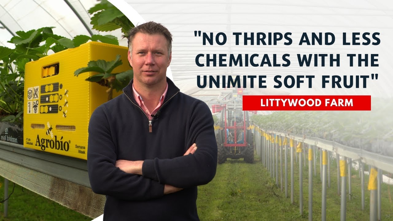 No thrips and less chemicals with the UniMite Soft Fruit Machine | Gabriel Slabbert explains