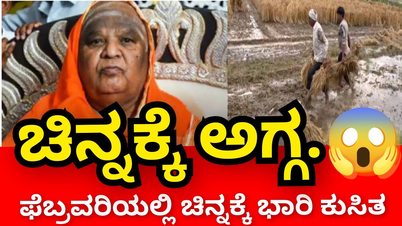 ಚಿನ್ನಕ್ಕೆ ಅಗ್ಗ ಫೆಬ್ರವರಿಯಲ್ಲಿ ಚಿನ್ನದ ಬೆಲೆ ಇಳಿಕೆ ಆಗಲಿದೆ ಎಂದು ರಹಸ್ಯ ಭವಿಷ್ಯ ನುಡಿದ ಕೋಡಿಮಠ ಶ್ರೀಗಳು ಕಾಲನುಡಿ