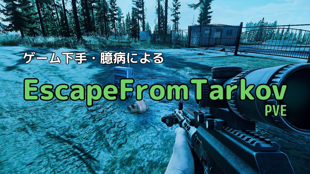 【Escape From Tarkov】お金だけ貯まっていく【PvE】