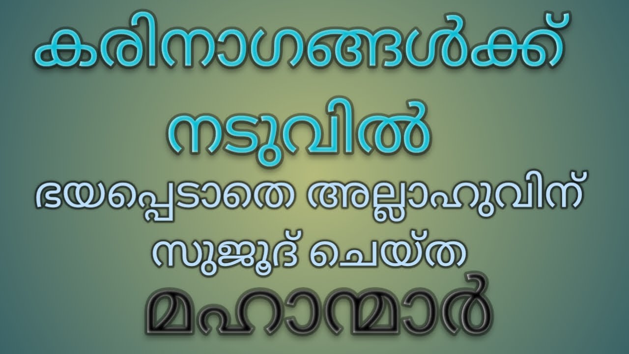 karunagappally shaikhanmmaar കരുനാഗപ്പള്ളി ശൈഖൻമാർ.
