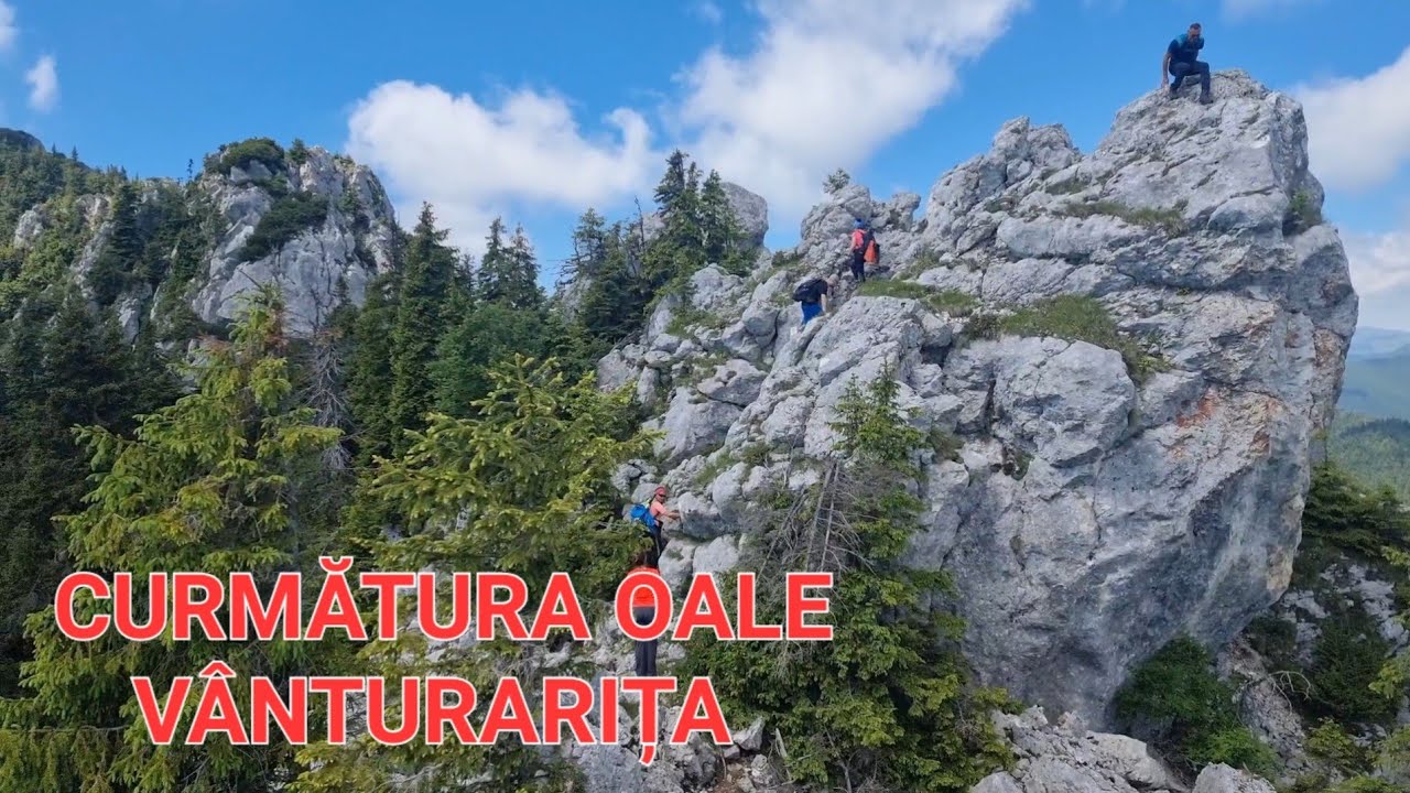 CURMĂTURA OALE- VF. VÂNTURARIȚA (DE LA CABANA CHEIA)