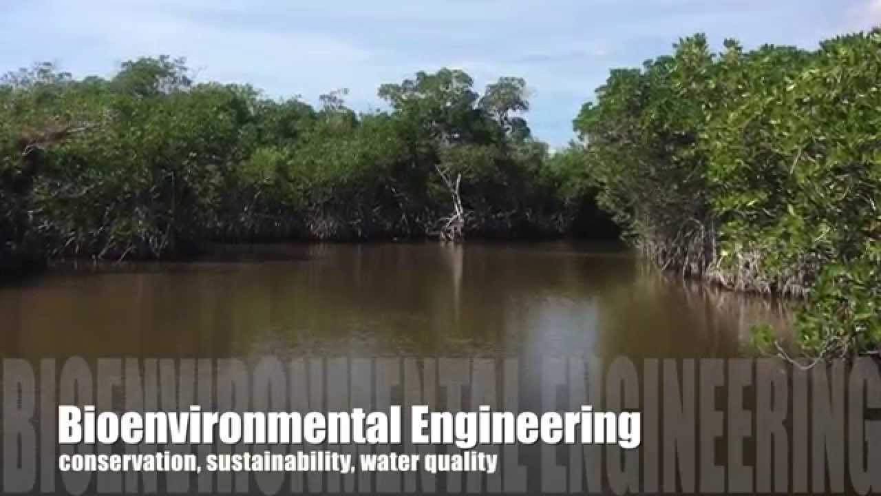 What Is Biosystems Engineering?