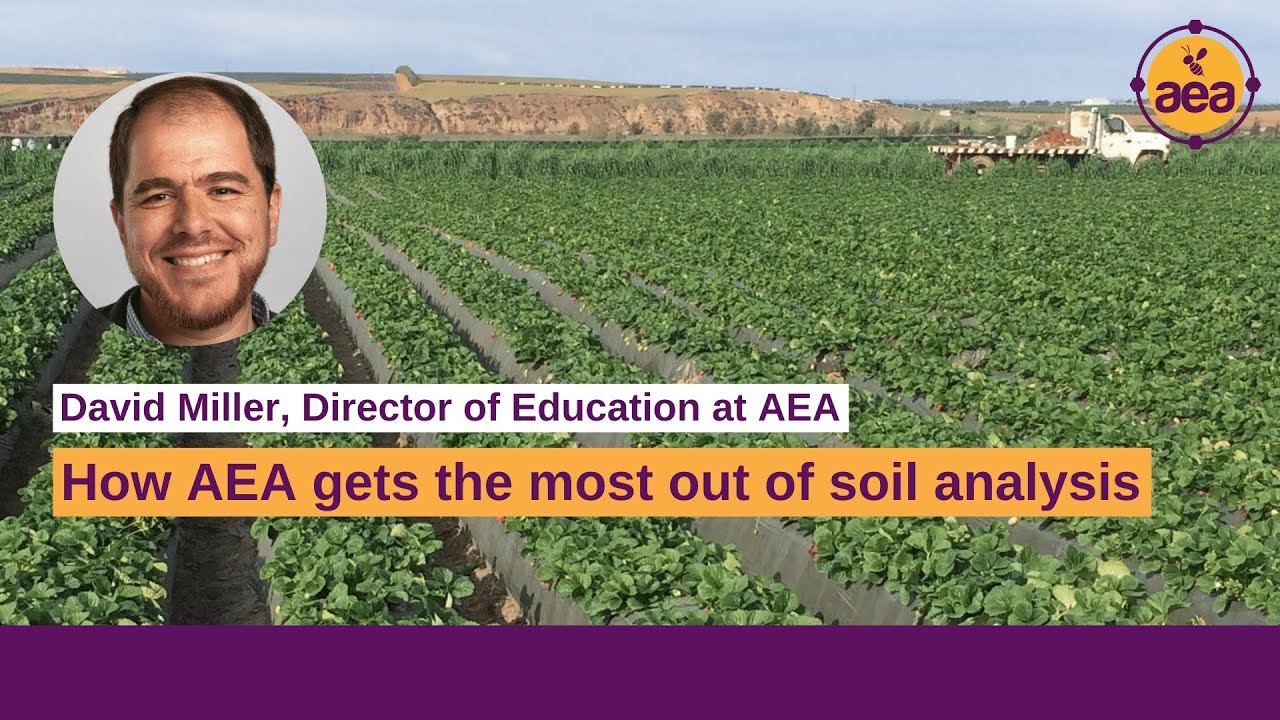 How farmers can get the most out of their soil analysis | Regenerative Agriculture with AEA