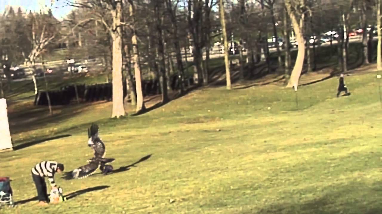 Eagle Swoops Down and Grabs Baby