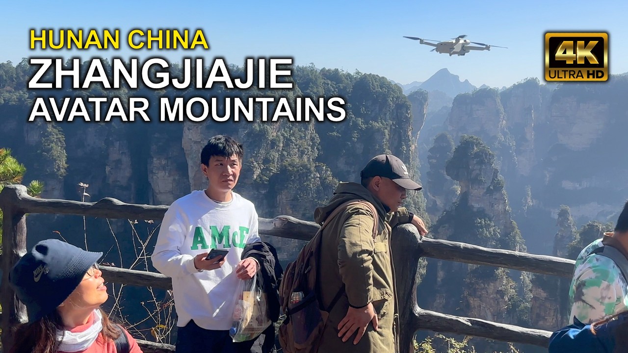 Exploring Zhangjiajie's Avatar Mountains 🇨🇳 张家界
