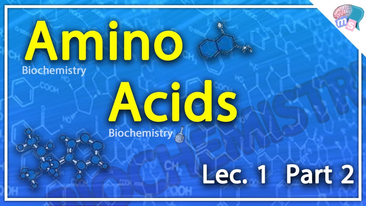 [[Biochemistry]] : (Amino Acids) Lec.1 part2