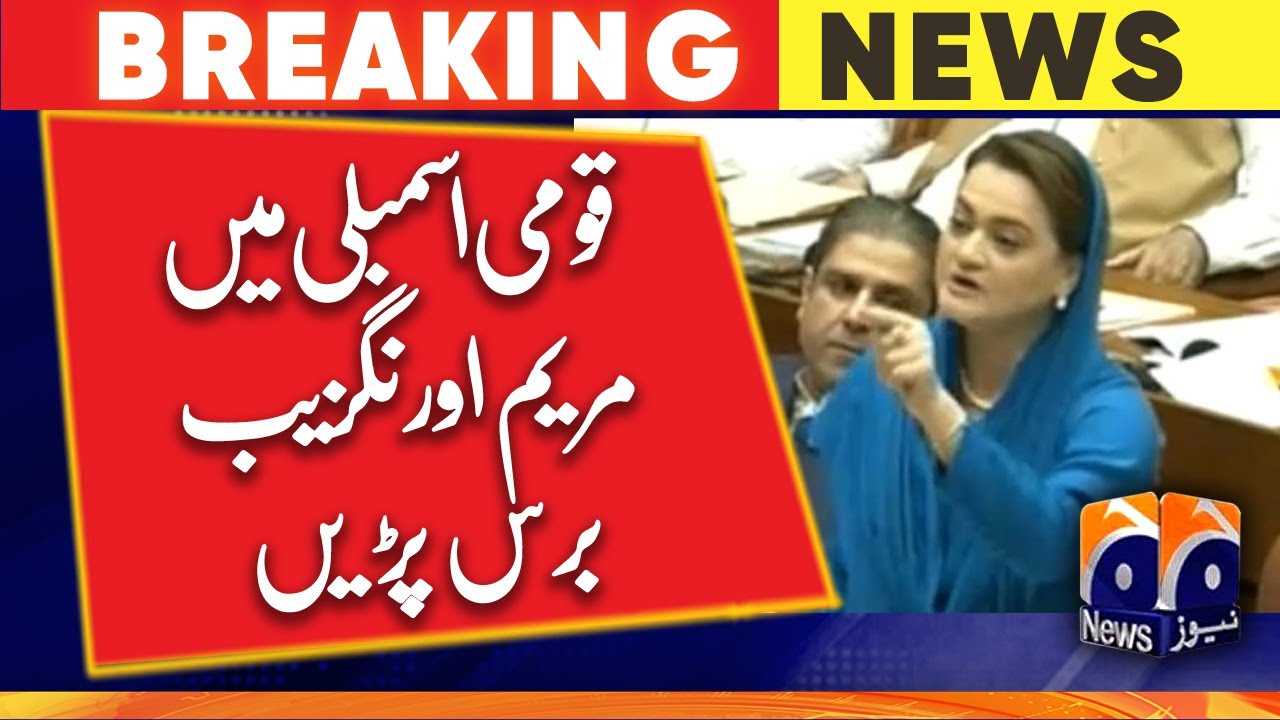 Maryam Aurangzeb speech in National Assembly | Geo News