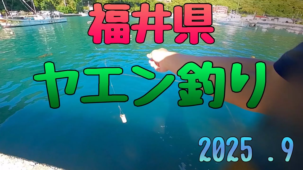 2025 福井県 ヤエン釣り 新型ヤエン(開発中)