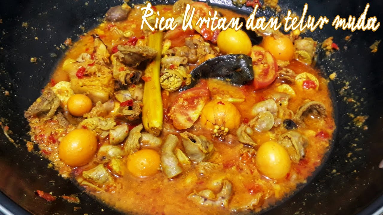 RICA URITAN DAN TELUR MUDA AYAM KAMPUNG #uritan #telurmuda #uritanayam #ricarica