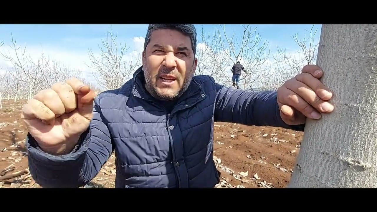 KÖK KANSERİ nasıl yok edilir ?  Yiğit Gürocak ile çözüm önerileri  #agrobacterium #kökuru