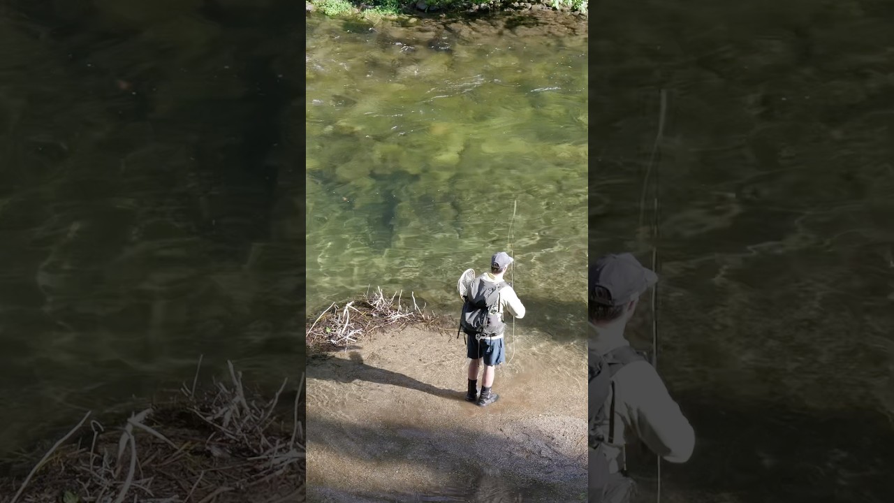 Close run in with an Idaho Bull Trout #fishing #flyfishing #idaho #bulltrout #troutbum #trout