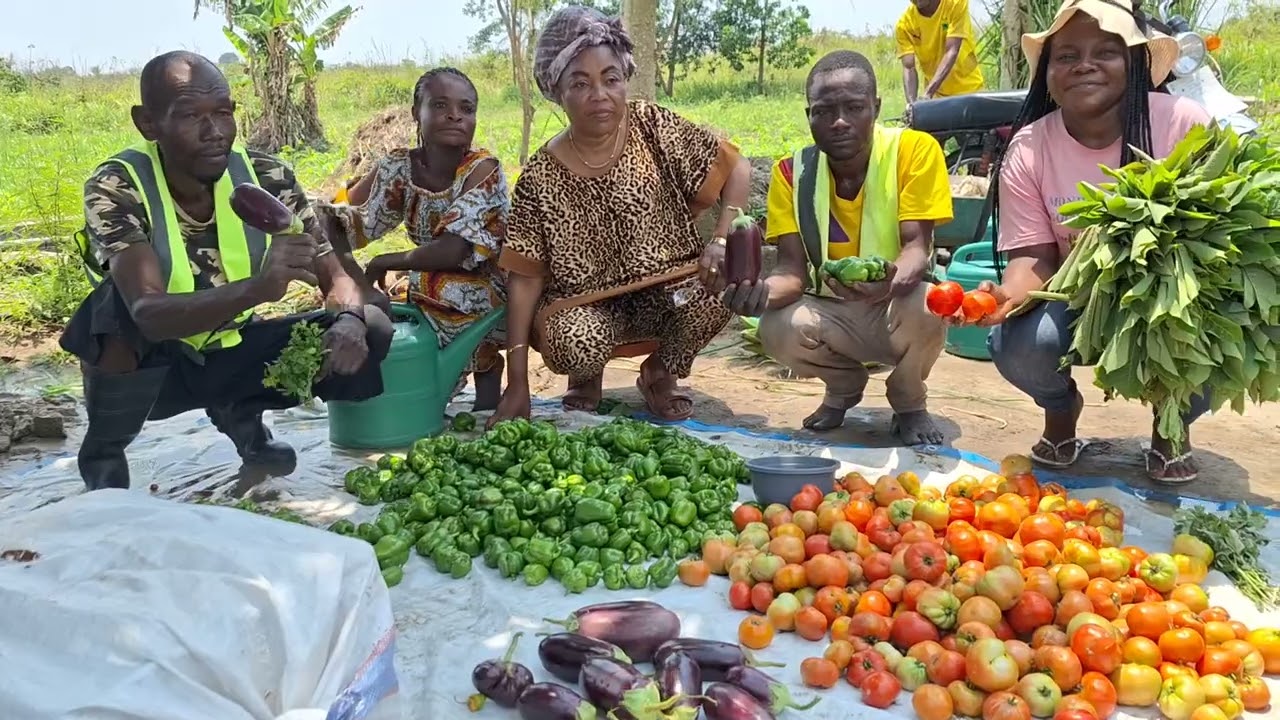 KWILU : une province à vocation agricole, Bandundu au cœur du “manger naturel”