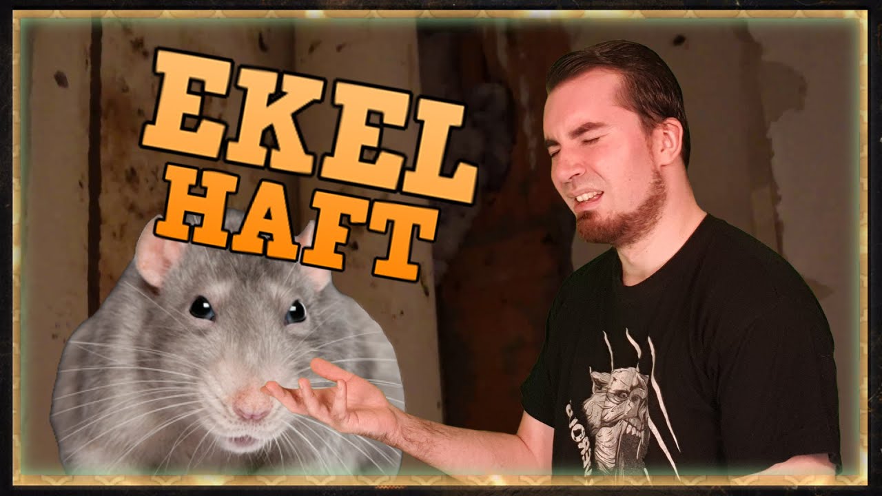 RATTEN IM KELLER!?