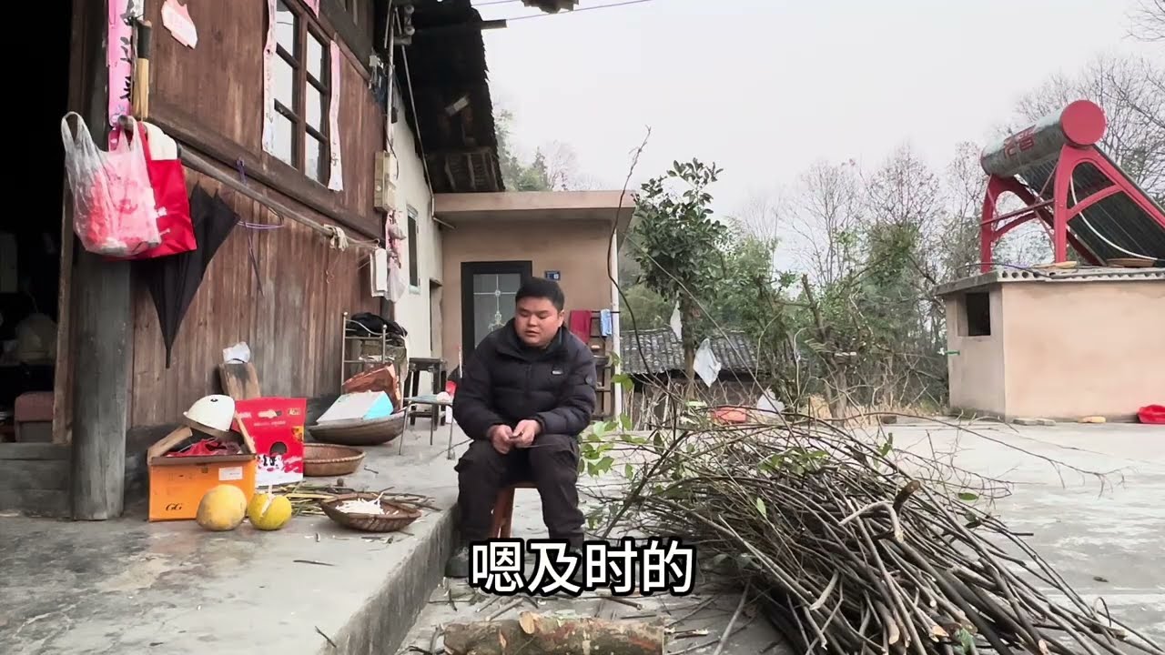 跟表娘一起上山，弄了一捆野生的小通草回来，大家猜一下能出多少成品？#农村风俗习惯就是这样
