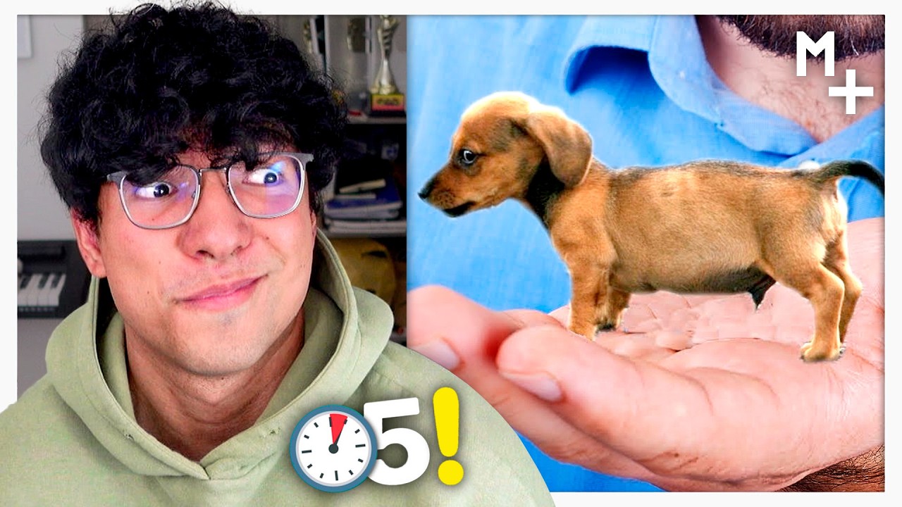 Magma Ve 50 Cosas que NO SABIAS 9 😳⏰