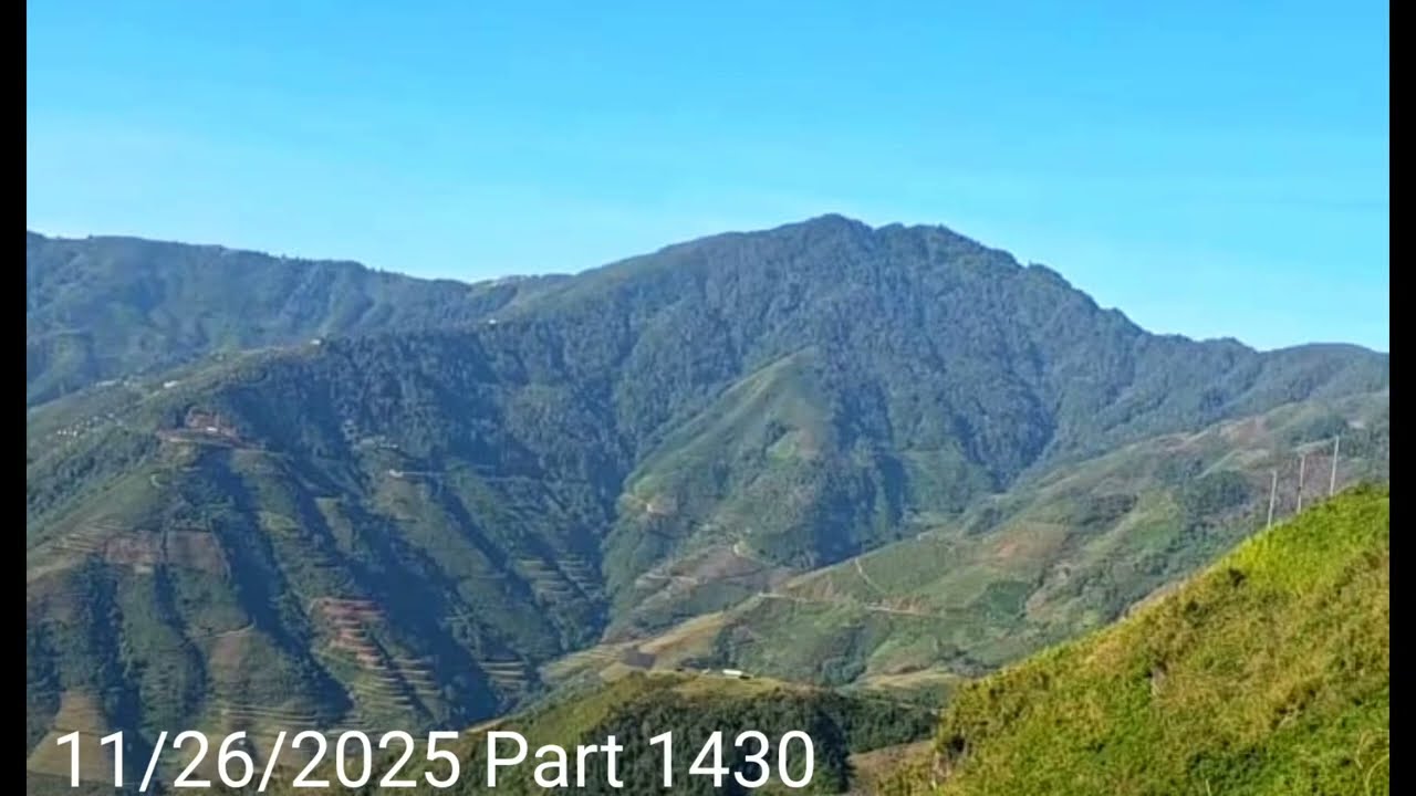 Tub Rog Faiv Looj Mus Pov Mov Rau Tub Rog Noj Raug Nyab Laj Txais