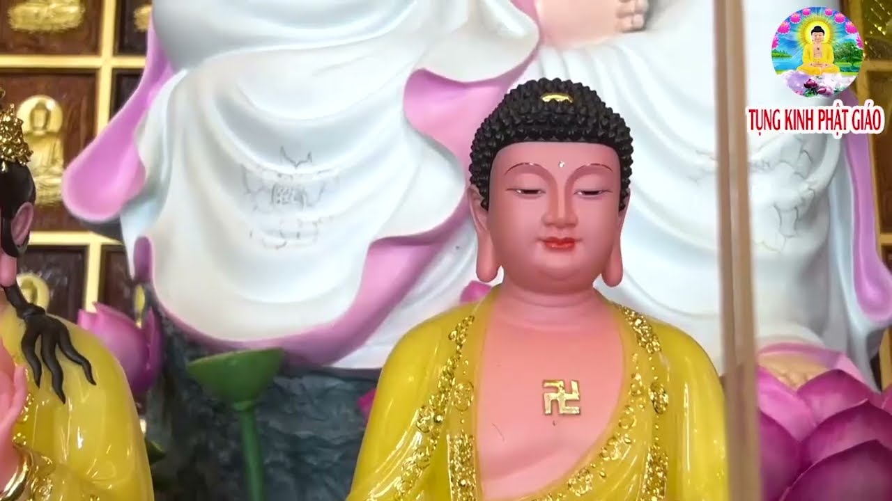 Sáng 26 Âm Mở Kinh Cầu An Cúng Sao Hạn Mẹ Hộ Trì Hết Bệnh Tiền Vào Như Nước Làm Đâu Trúng Đó !