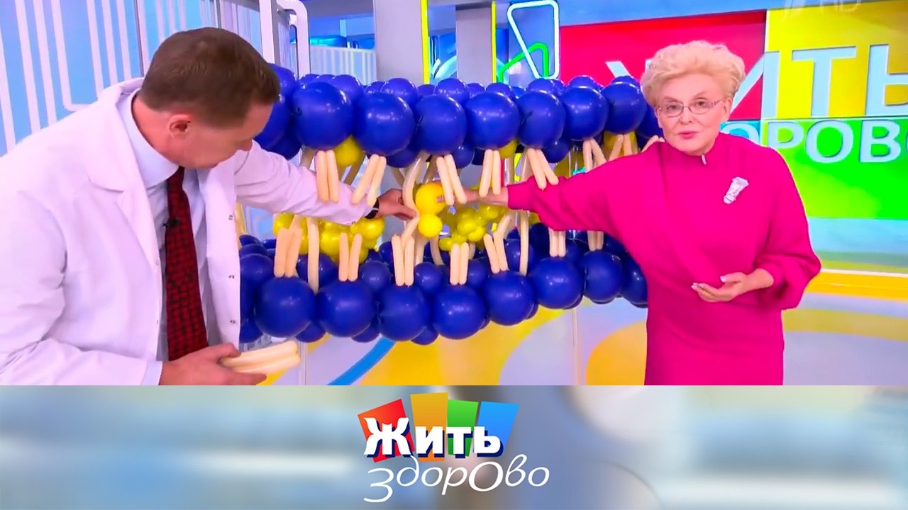 Для чего холестерин нужен организму? 23.11.2023