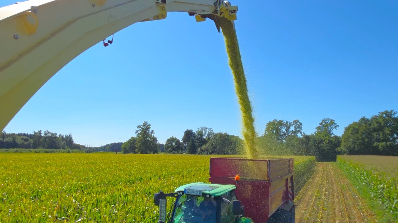 Big X 630 Maishäcksler mit Deutz TTV 7250 & Fendt 936 Vario bei Mais & Silphie Silage für Bioenergie