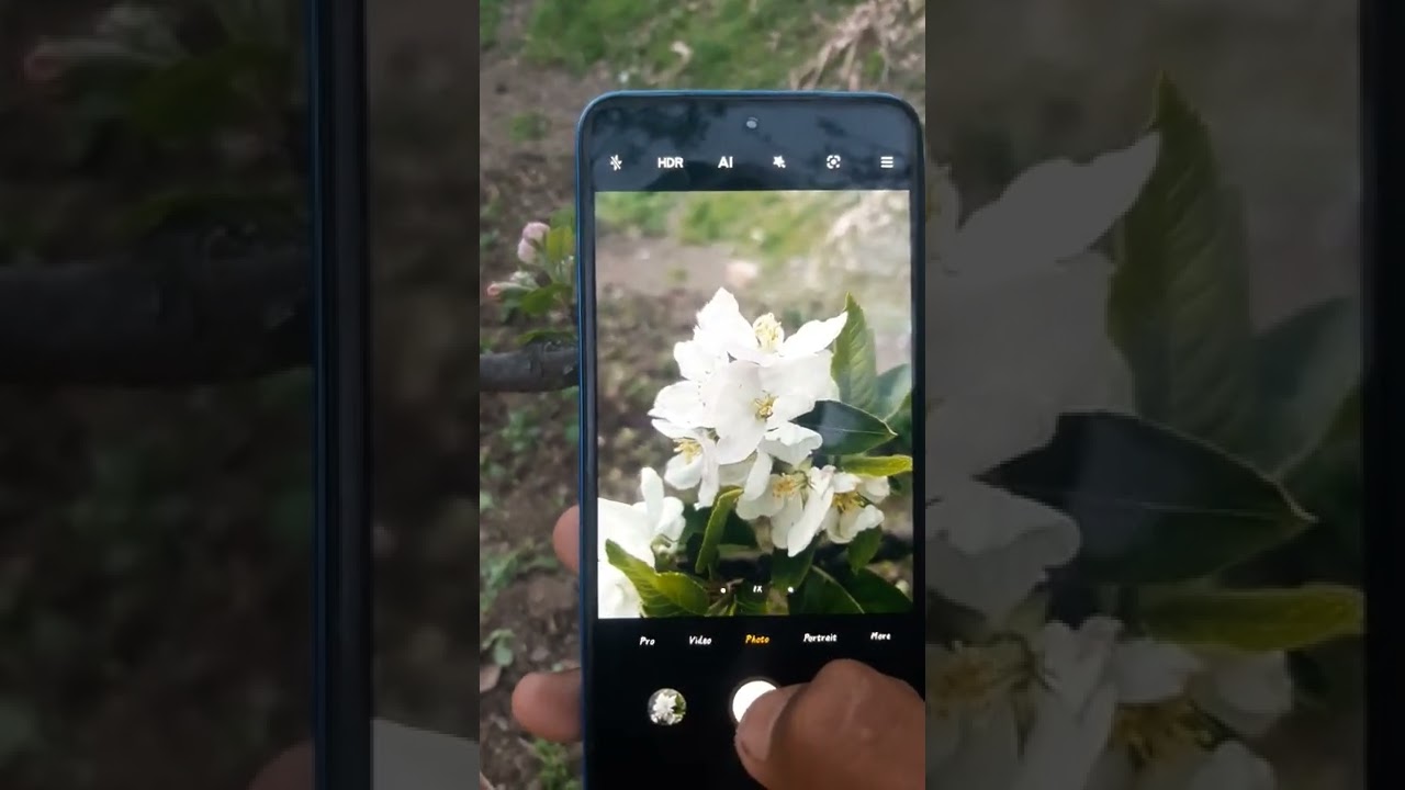 Redmi Note 10s Camera Testing In Evening 🔥🔥🔥