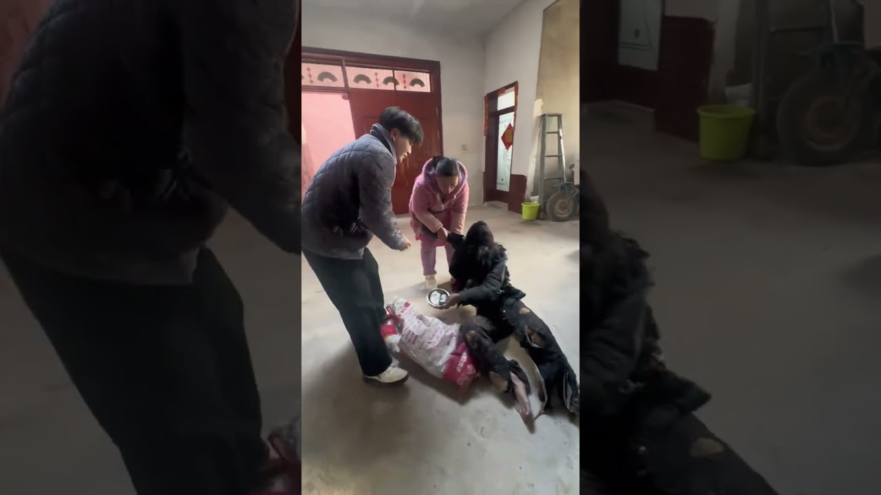 С этого момента я буду фотографировать себя каждый день, пока не увижу, сколько людей меня узнают.