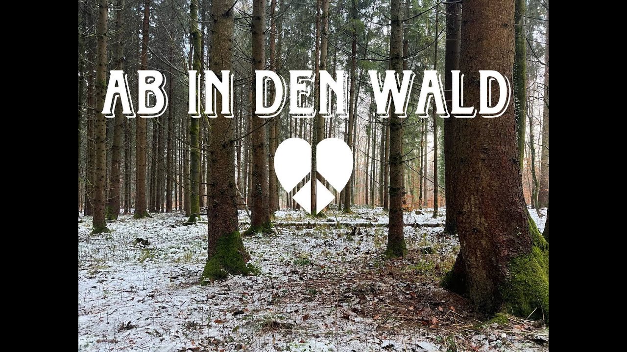 Ab in den Wald - alleine im Nirgendwo #entspannung #schwarzwald  #blackforest  #motivation