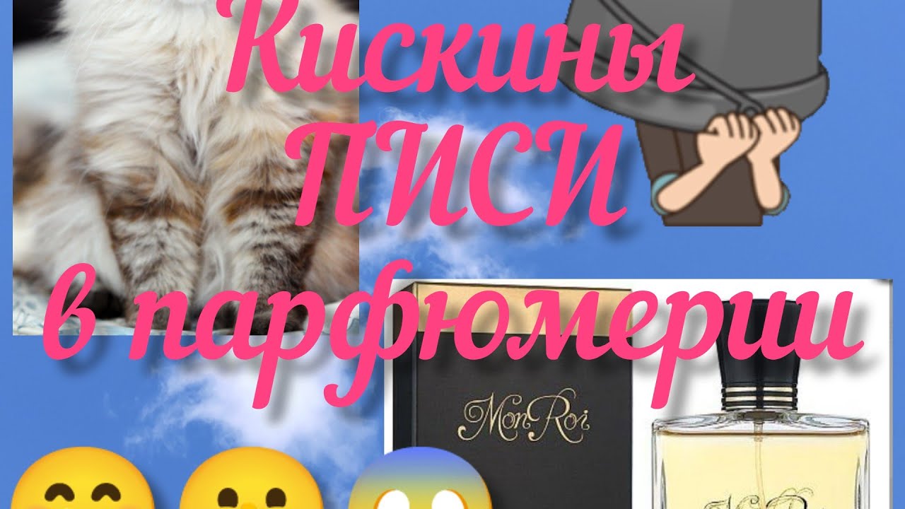 Кискины ПИСИ в парфюмерии. (Мое восприятие). 
