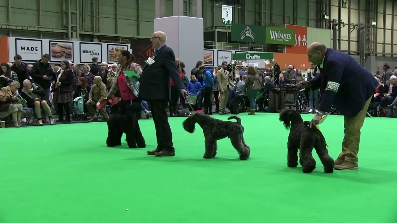 Crufts 2023