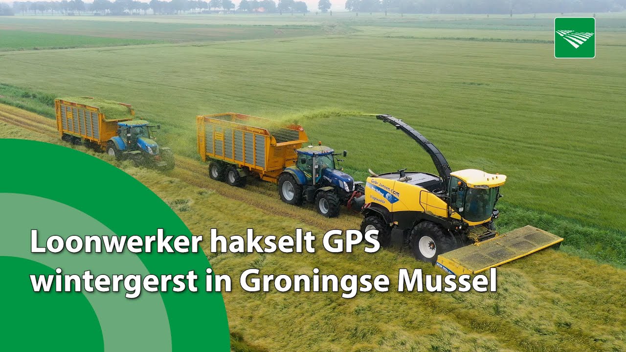 Loonwerker hakselt GPS-wintergerst in Groningse Mussel