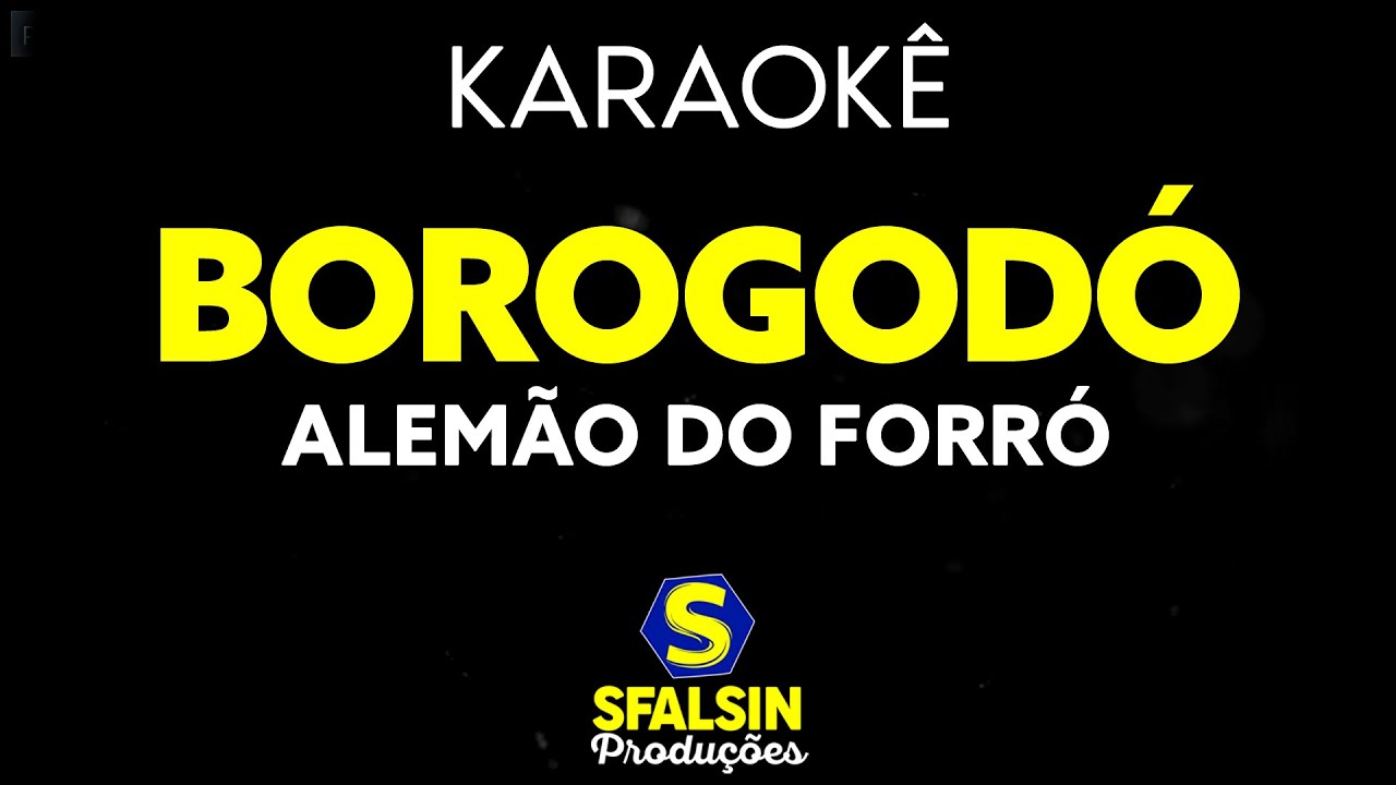 BOROGODÓ - Alemão do Forró (KARAOKÊ VERSION)