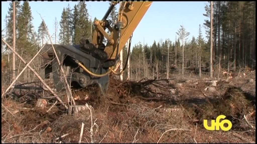 Stubbrytare Biorex 50