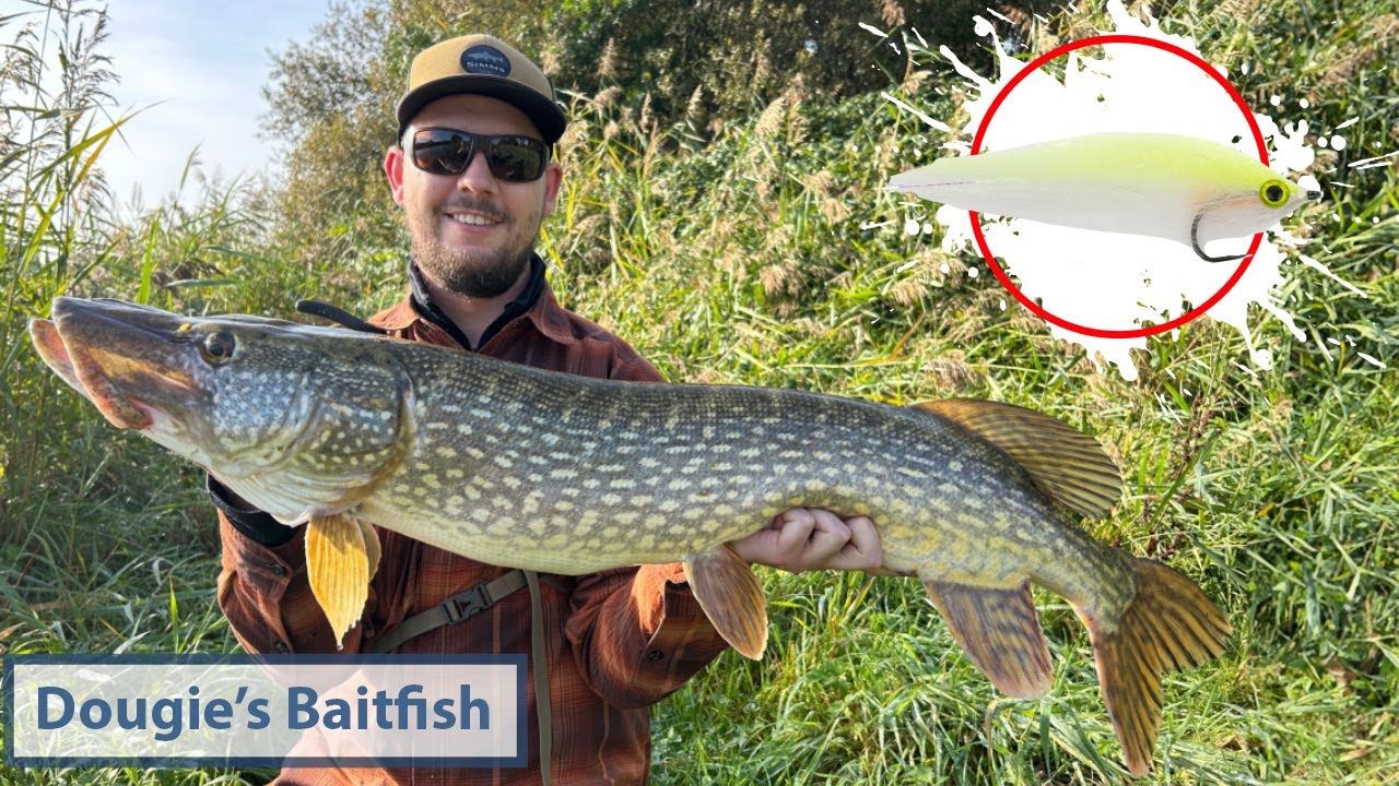 Fly Tying a Dougie's Baitfish - Fly Supply TV