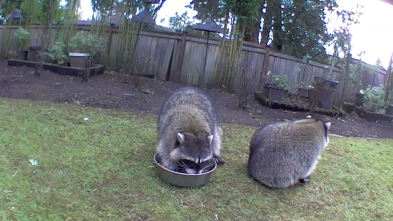 Share or Squabble? 